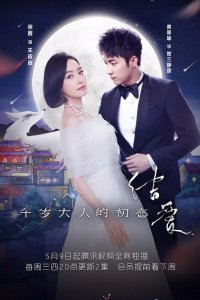 Первая любовь его Превосходительства (2018)
