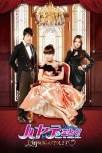Хаятэ, боевой дворецкий (2011)