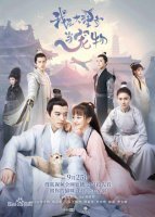 Кошка из палаты по уголовным делам (2018)