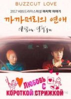 Любовь ёжиком (2017)